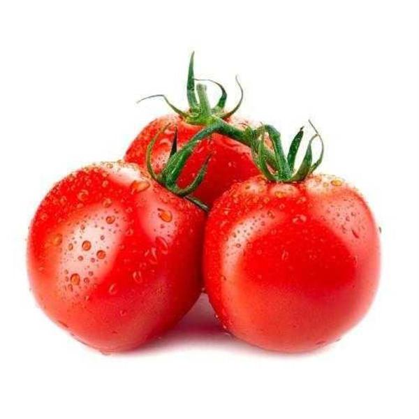 TOMATE kg
