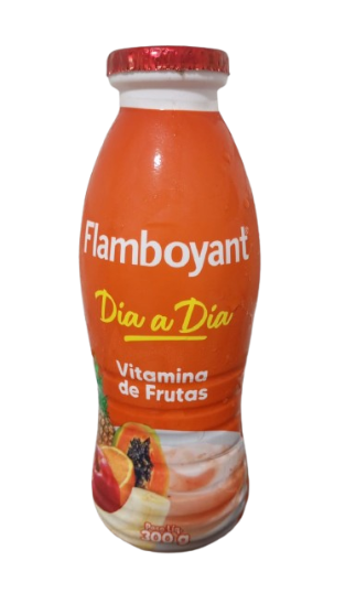 BEB.LACTEA FLAMBOYANT 300G GF FRUTA