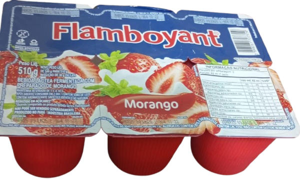 BEB.LACTEA FLAMBOYANT 540G MORANGO