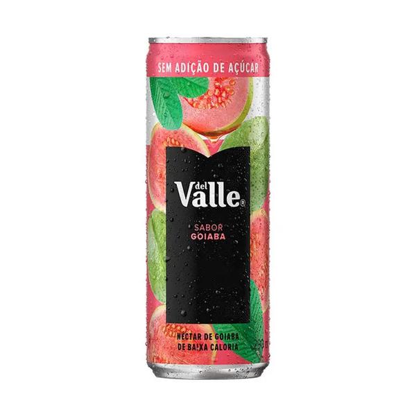 NECTAR DEL VALLE 290ML LT GOIABA