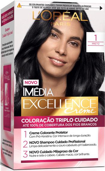 TINT.LOREAL IMEDIA EXCEL.1 PTO.ONIX