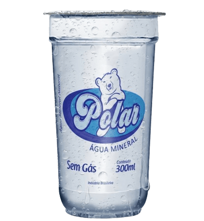 AGUA MINERAL POLAR COPO 300ML
