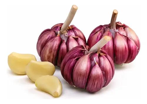 ALHO ROXO N5 KG