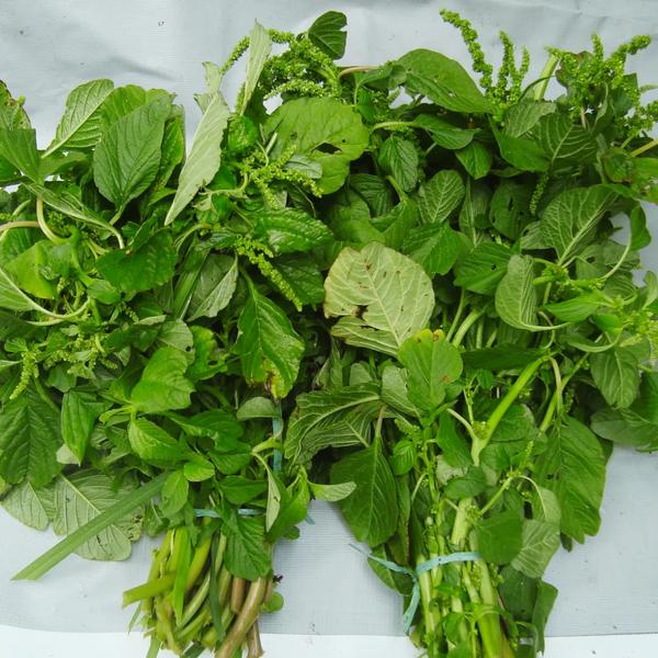 CEBOLA ROXA CEBOLA ROXA CAIXA 2