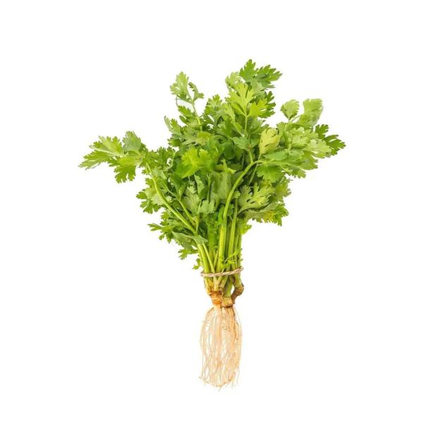 CHEIRO VERDE