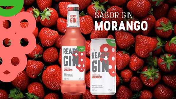 READYGIN GIN MORANGO 275ML