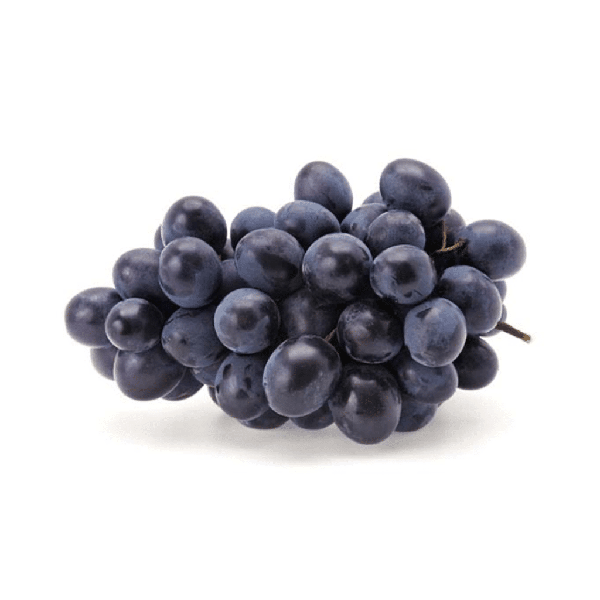 UVA S/CAROCO KG