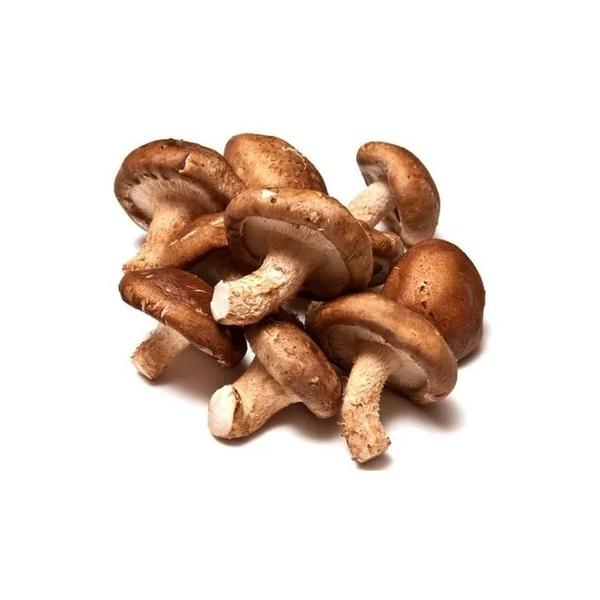 COGUMELO KG SHITAKE