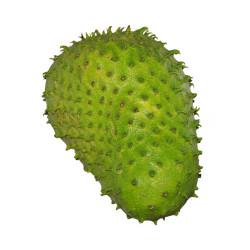 GRAVIOLA KG