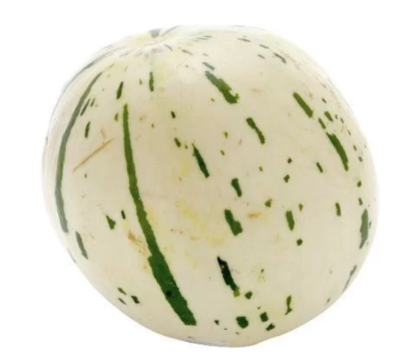 MELAO KG DINO MELICIA
