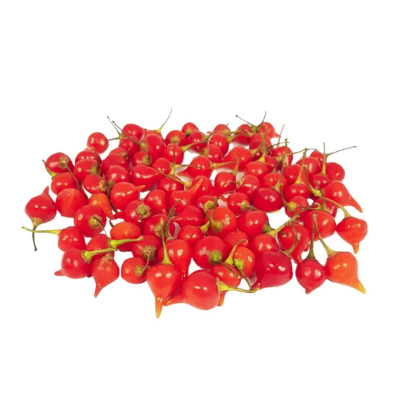 PIMENTA KG BIQUINHO