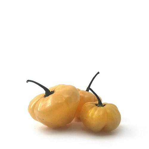PIMENTA KG CHEIRO CREME