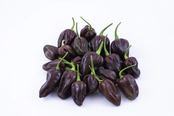 PIMENTA KG HABANERO CHOCOLATE