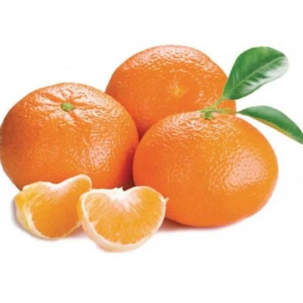 TANGERINA KG S/SEMENTE