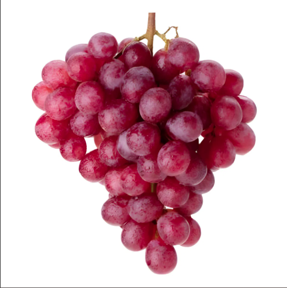 UVA KG RED GLOBE