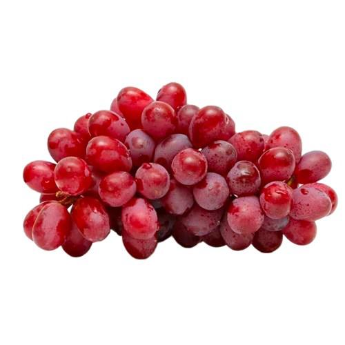UVA KG RED MEIRE