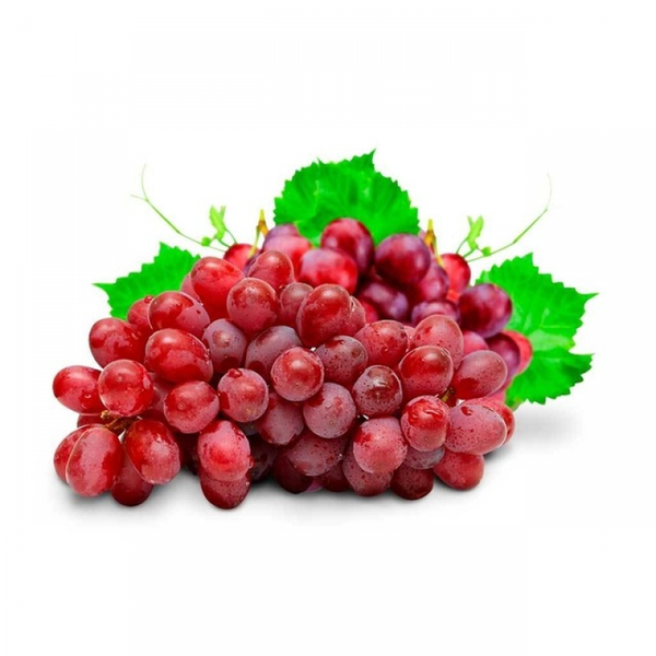 UVA KG RUBI