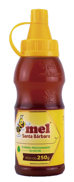 MEL SANTA BARBARA SILVESTRE BISNAGA 250G - R$10.50 - CX/12 - 7897535410656
