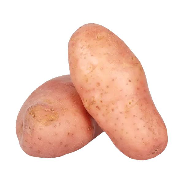 BATATA ASTERIX kg