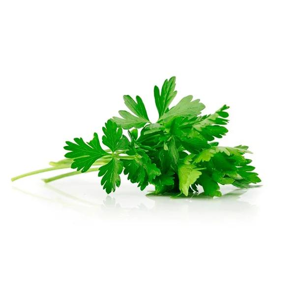 SALSA UNID un