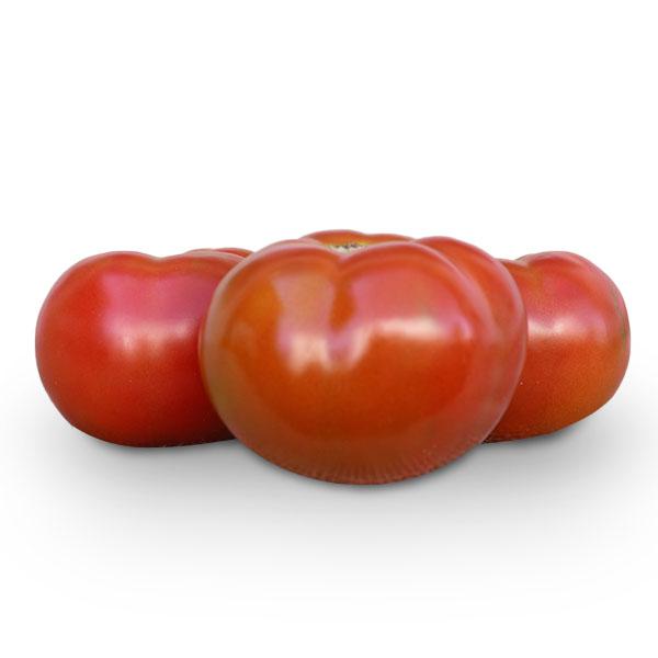 TOMATE ESPECIAL kg