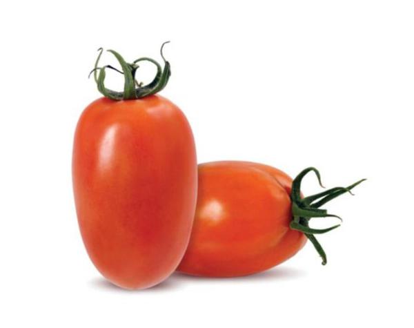 TOMATE ITALIANO KG kg
