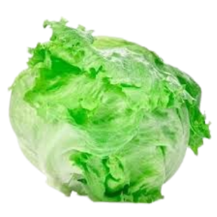 ALFACE AMERICANA EMBALADA UN