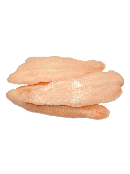 FILE DE PANGA  BDJ KG