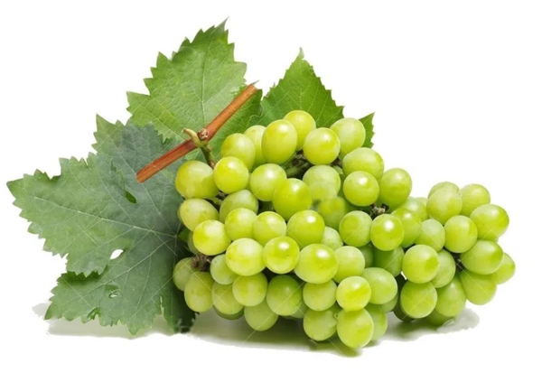 Uva Sem Semente 500g