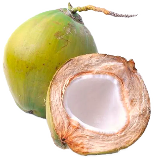 COCO VERDE AZM