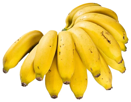 BANANA MAÇA