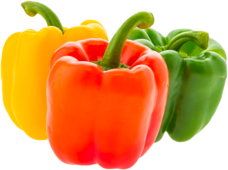 PIMENTAO COLORIDO
