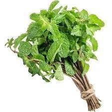  HORTELA UN