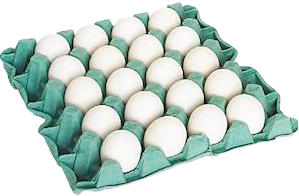 OVOS BRANCOS KR PVC 20UN