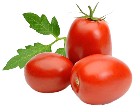 TOMATE ITALIANO