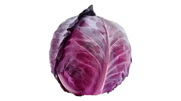 REPOLHO ROXO UN