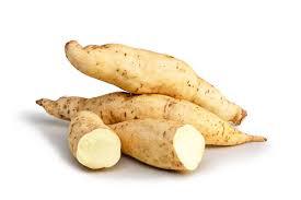 FLV BATATA DOCE BRANCA