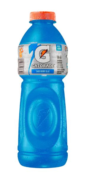 GATORADE BLUE BERRY 500ML