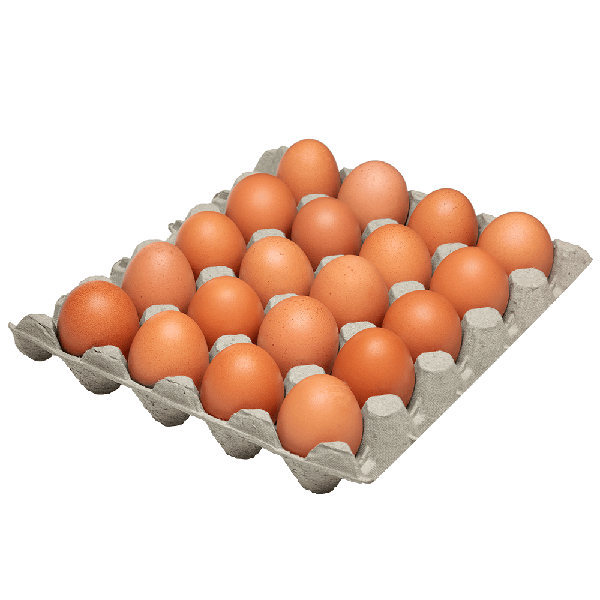 Ovos Vermelhos Mult Ovos Cartela 20un