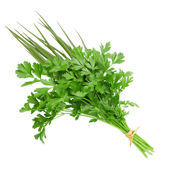 Tempero Cheiro Verde Un