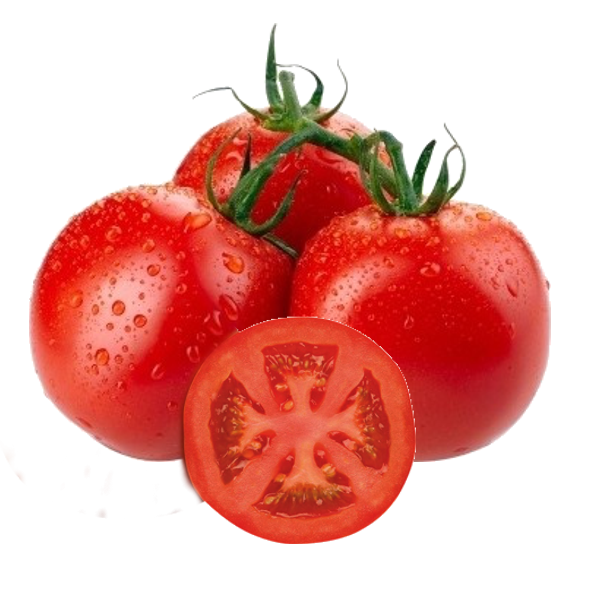 Tomate Longa Vida Kg