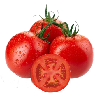 Tomate Longa Vida Kg