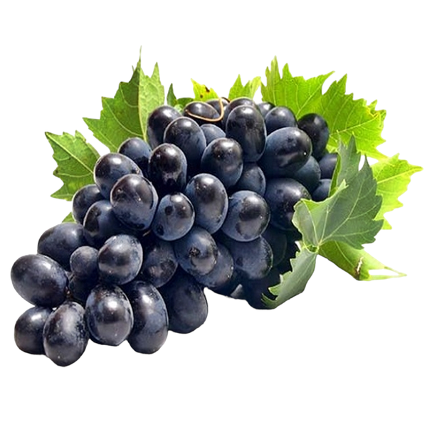 FRUTAS UVA NUBIA KG