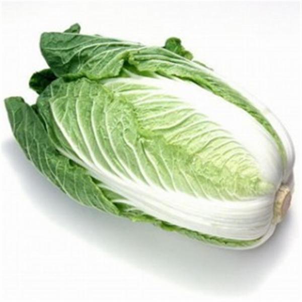 HORTALICA  ACELGA KG