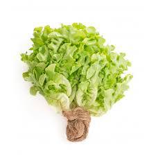 HORTALICA  ALFACE MIMOSA HIDRO MC