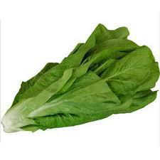 HORTALICA ALMEIRAO HIDRO MC