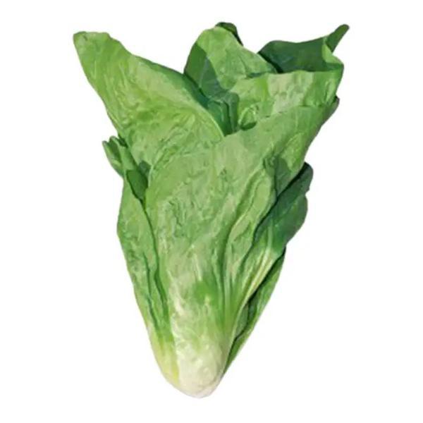 HORTALICA  ALMEIRAO  MC