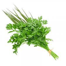 HORTALICA CHEIRO VERDE MC