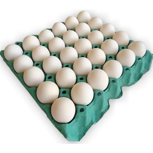 OVOS CAMPESTRE GDE BCO PVC 30X1