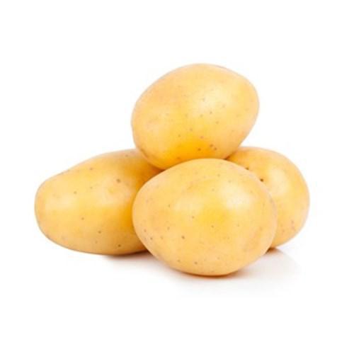 TUBERCULO BATATA EXTRA KG